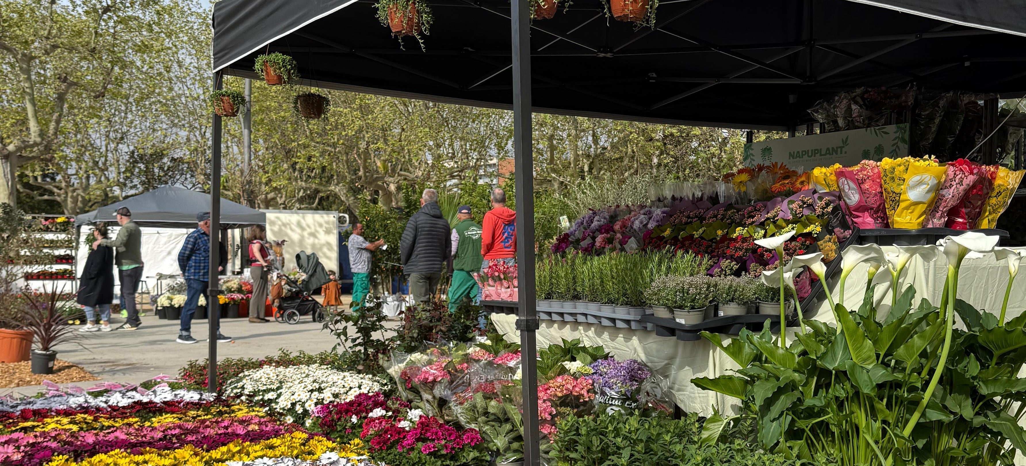 Nuestra experiencia en la Feria de Plantas de Mataró | Napuplant - Napuplant
