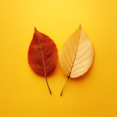 Plantas para Otoño