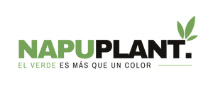 Napuplant