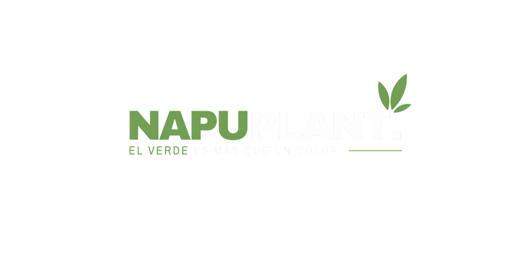 Napuplant