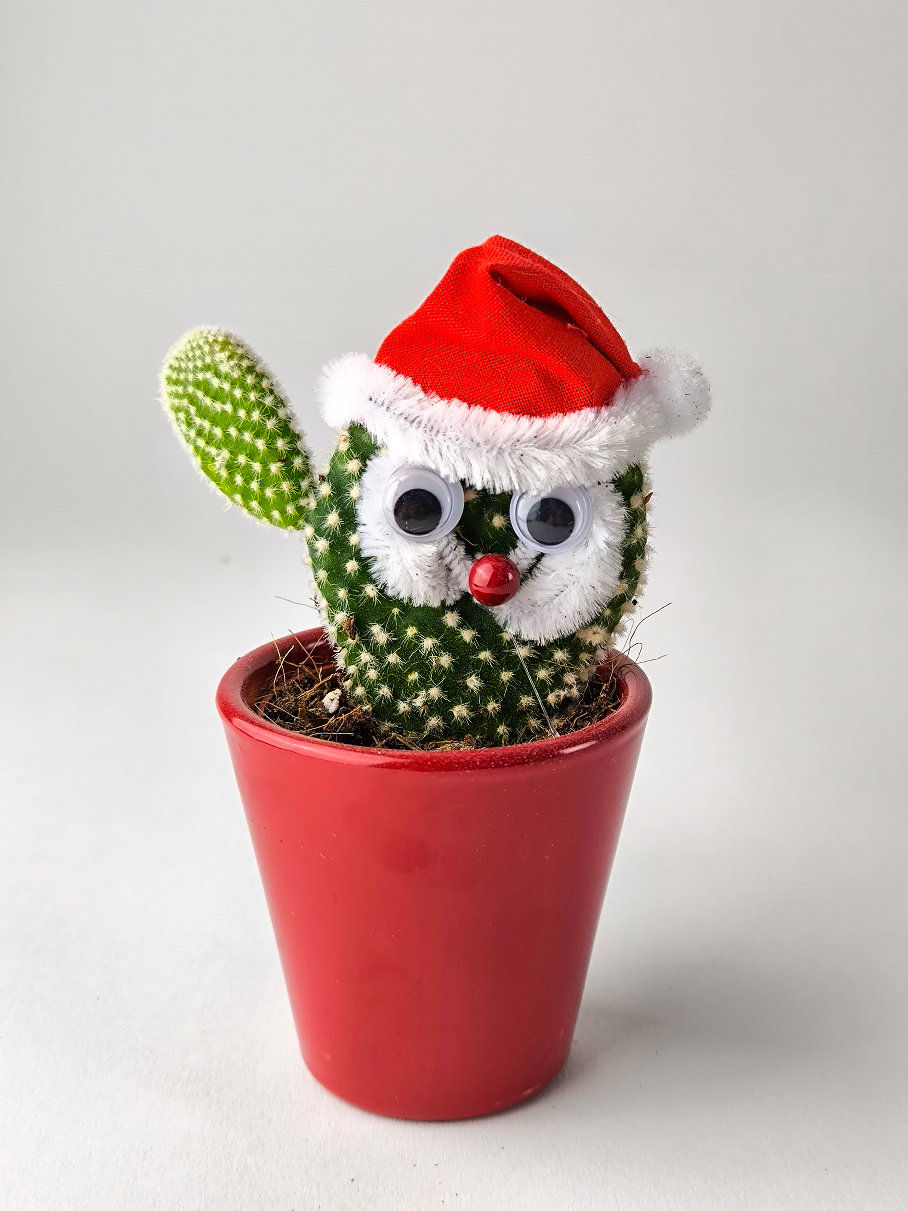 Cactus Navidad V.3