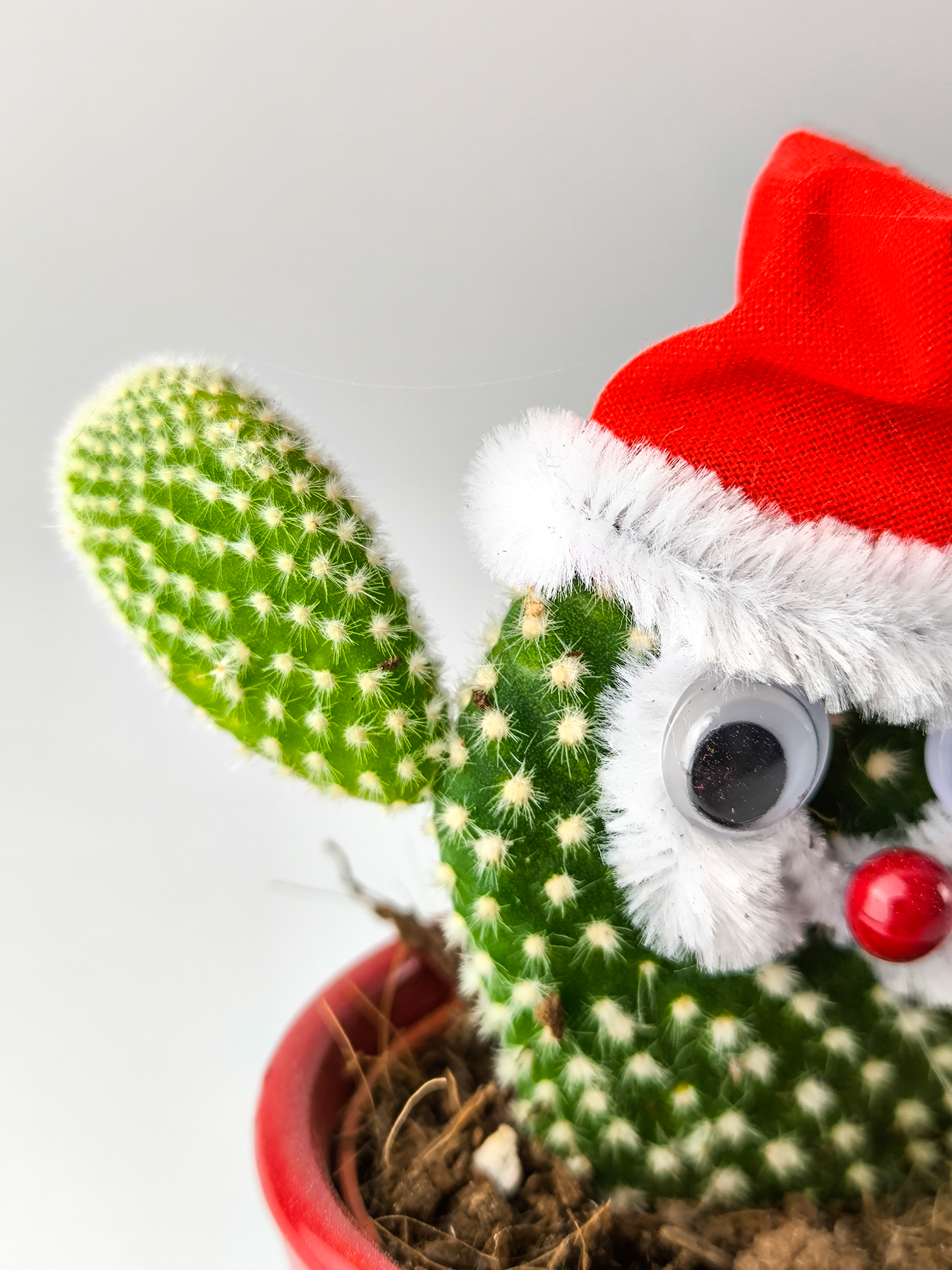 Cactus Navidad V.3