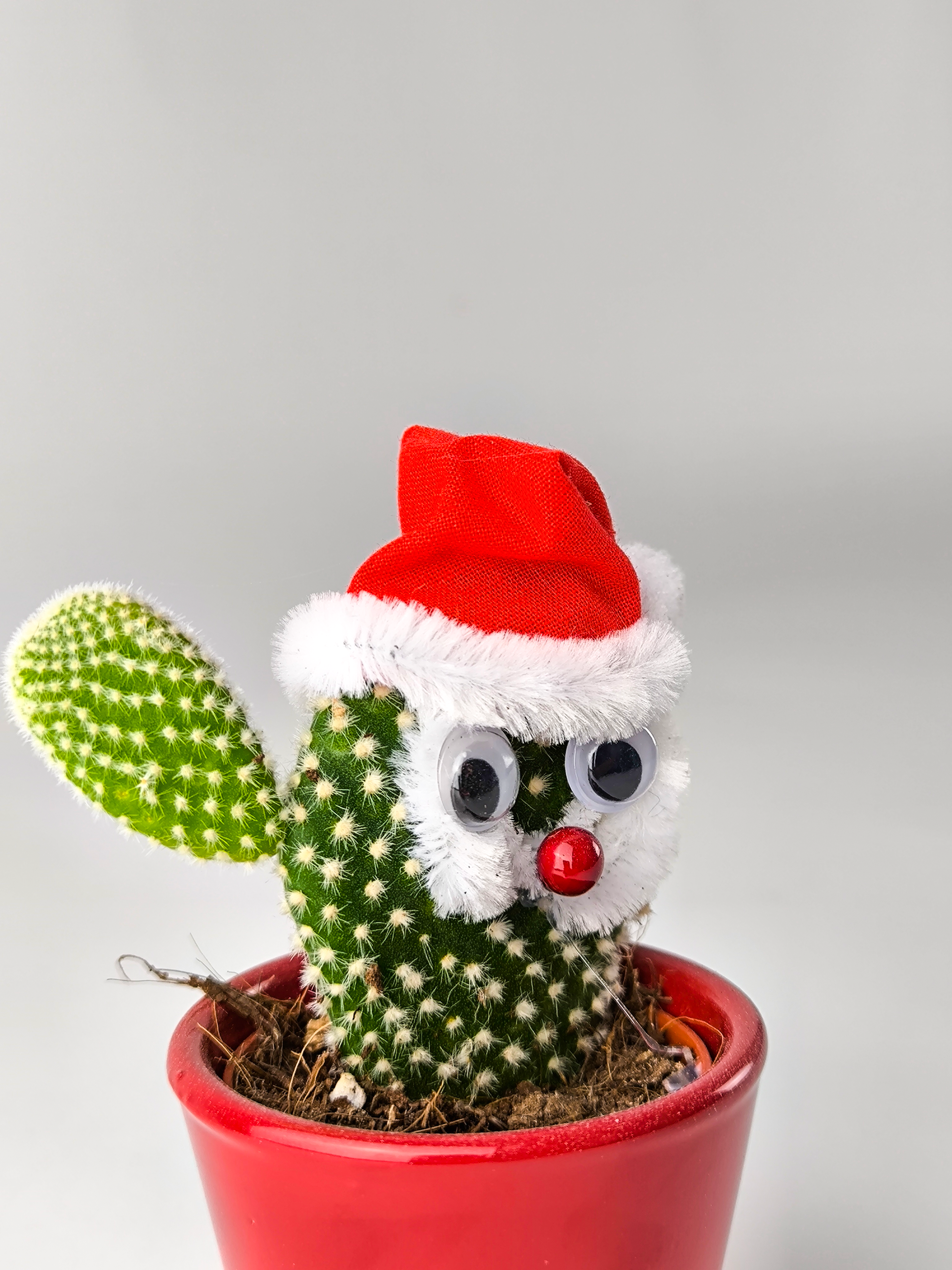 Cactus Navidad V.3