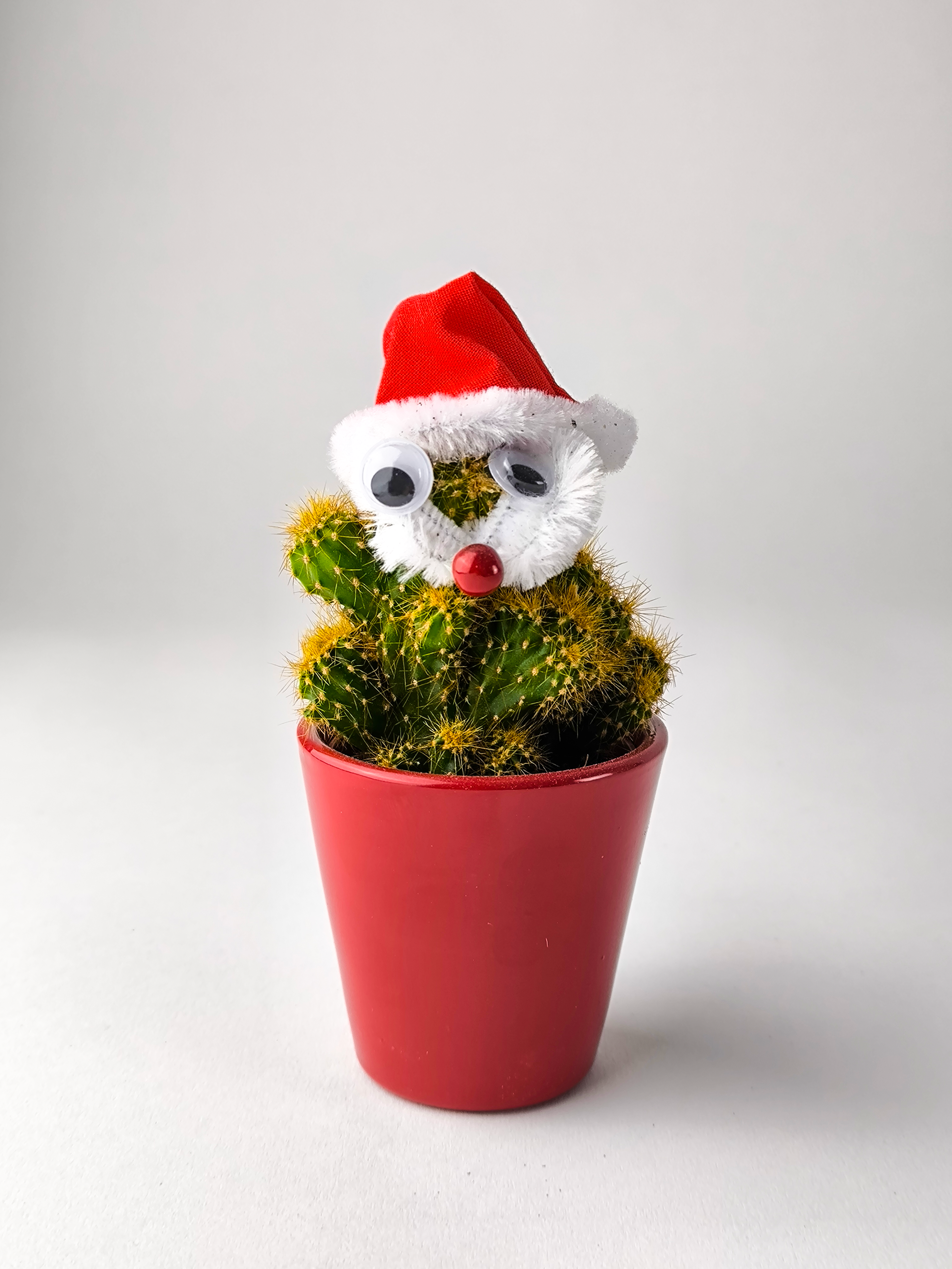 Cactus Navidad V.1