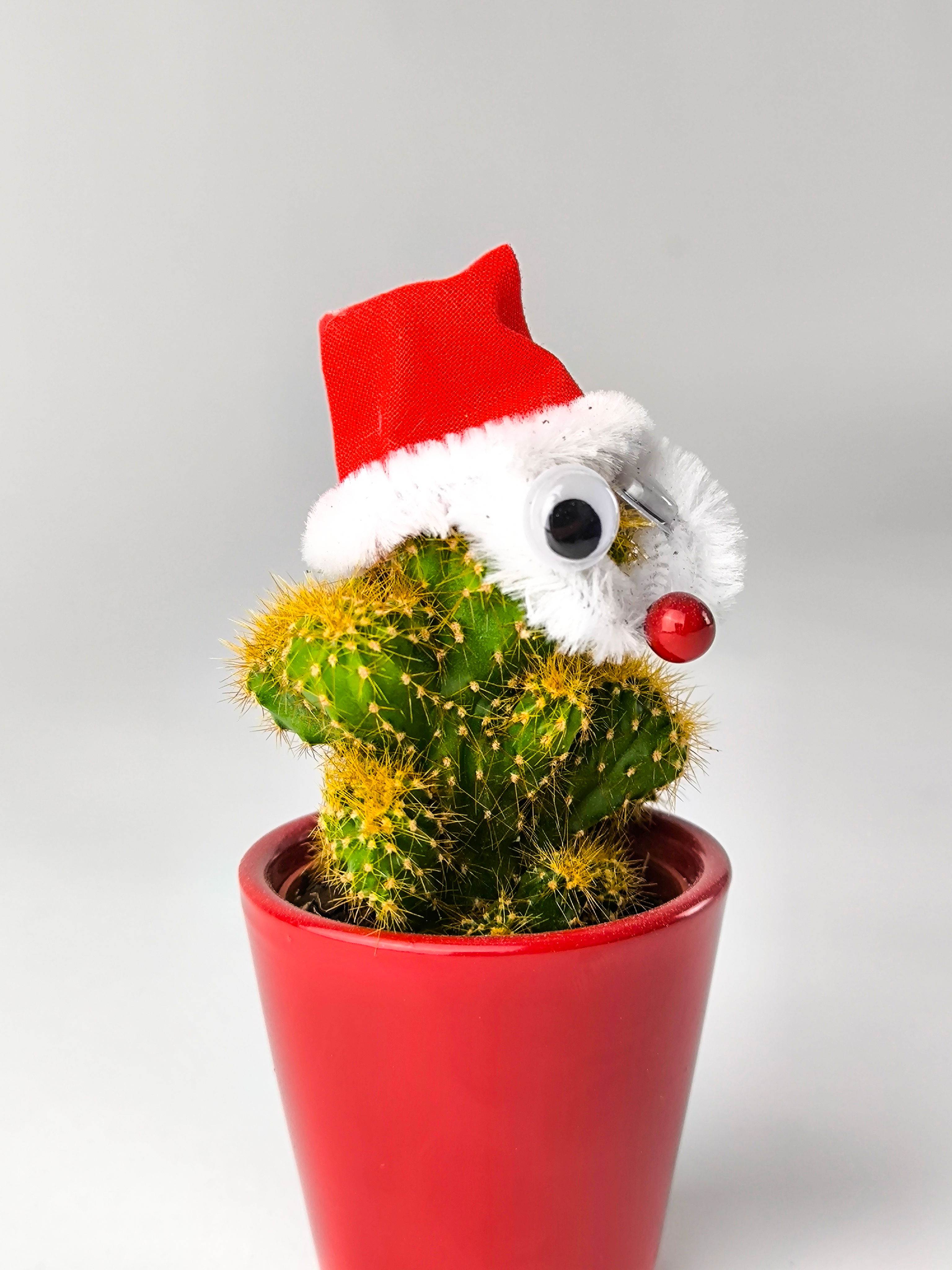 Cactus Navidad V.1