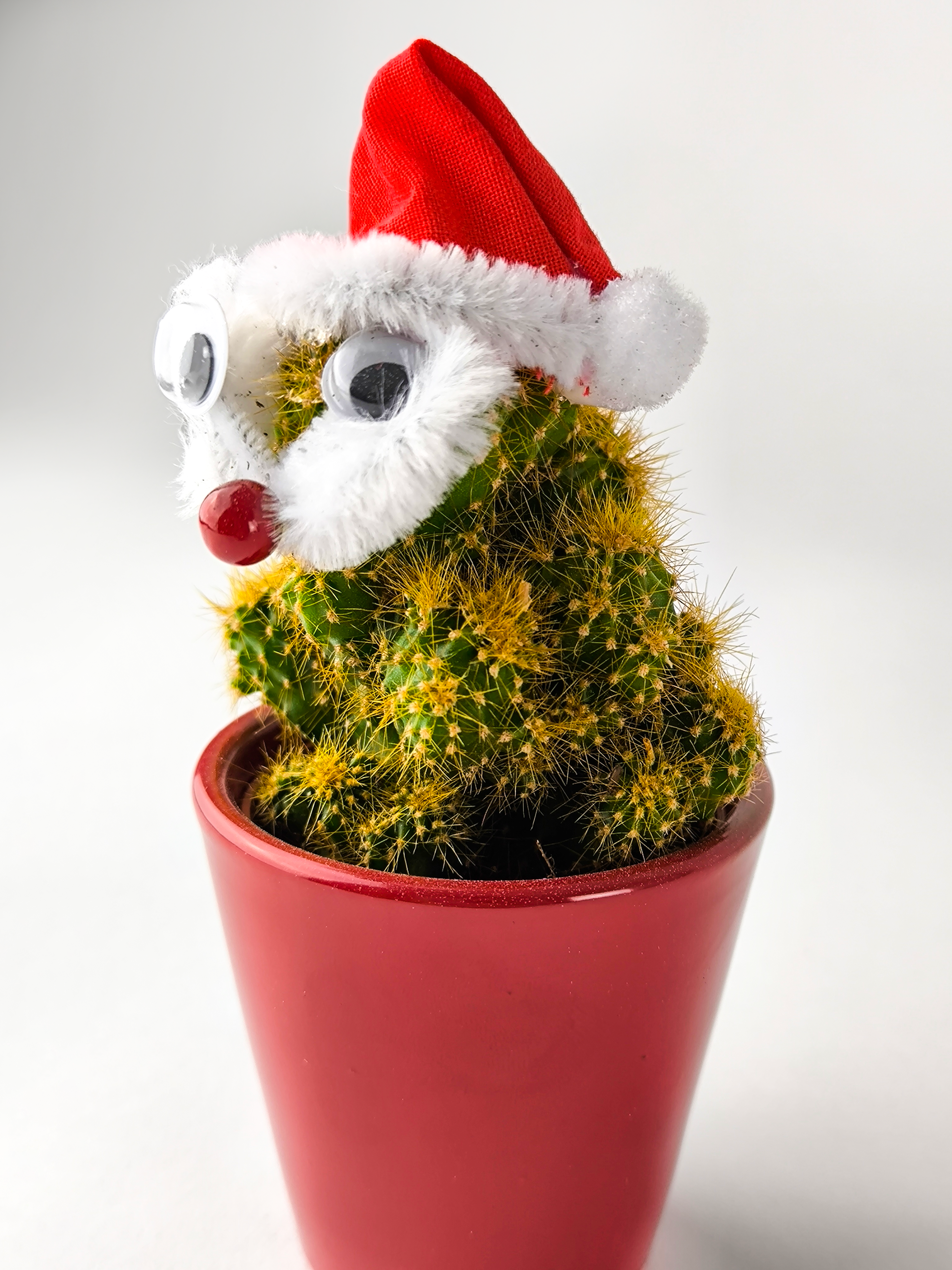 Cactus Navidad V.1