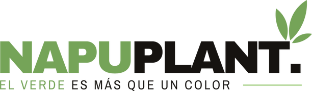 Napuplant