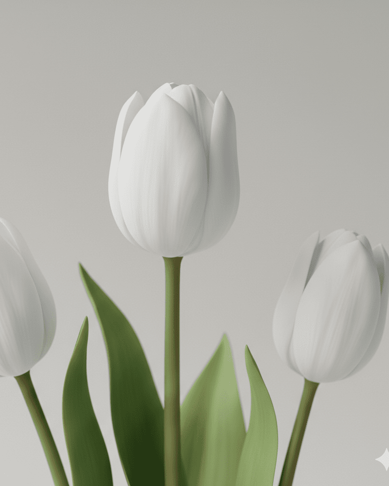 Tulipán - Napuplant